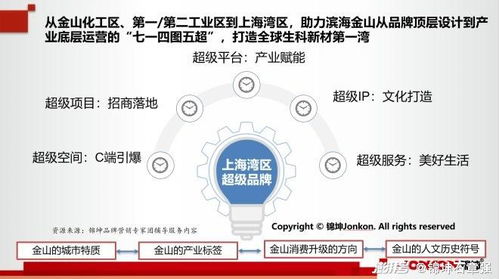 城市更新的品牌顶层设计与产业底层运营 品牌运营管理的关键实践