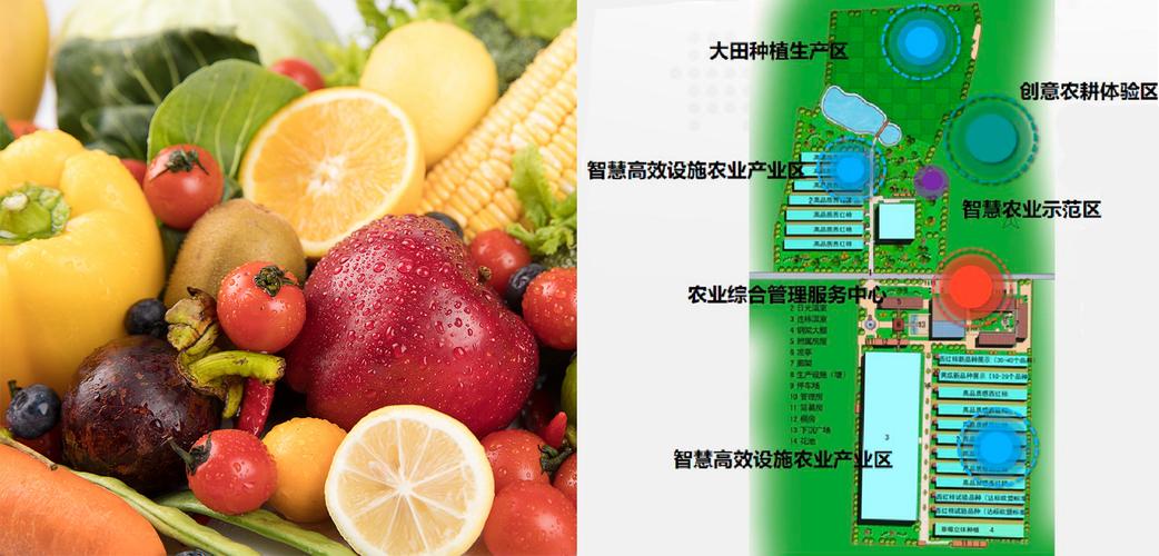 园区运营管理与品牌打造 从功能服务到价值共鸣的升级之道