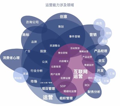 品牌运营管理 互联网运营人员的现状与职业发展路径
